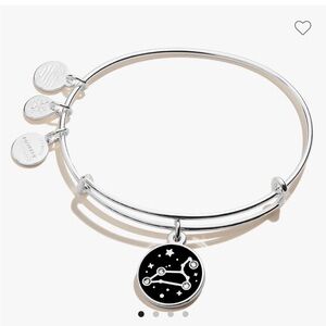 Alex and Ani Leo sign adjustable bangle in silver color.